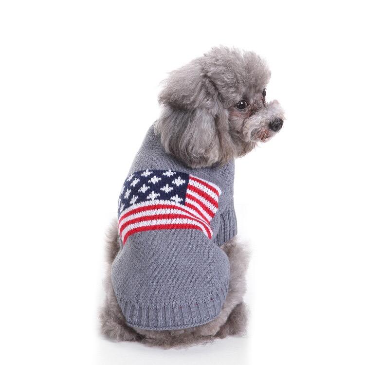 Dog essentials and accessories