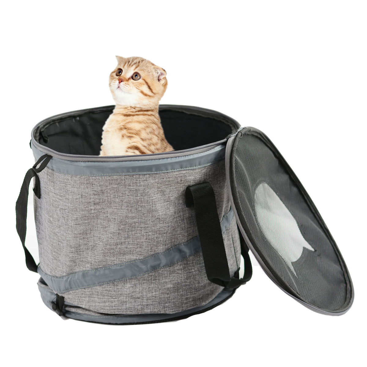 Foldable cat tunnel and indoor hideaway