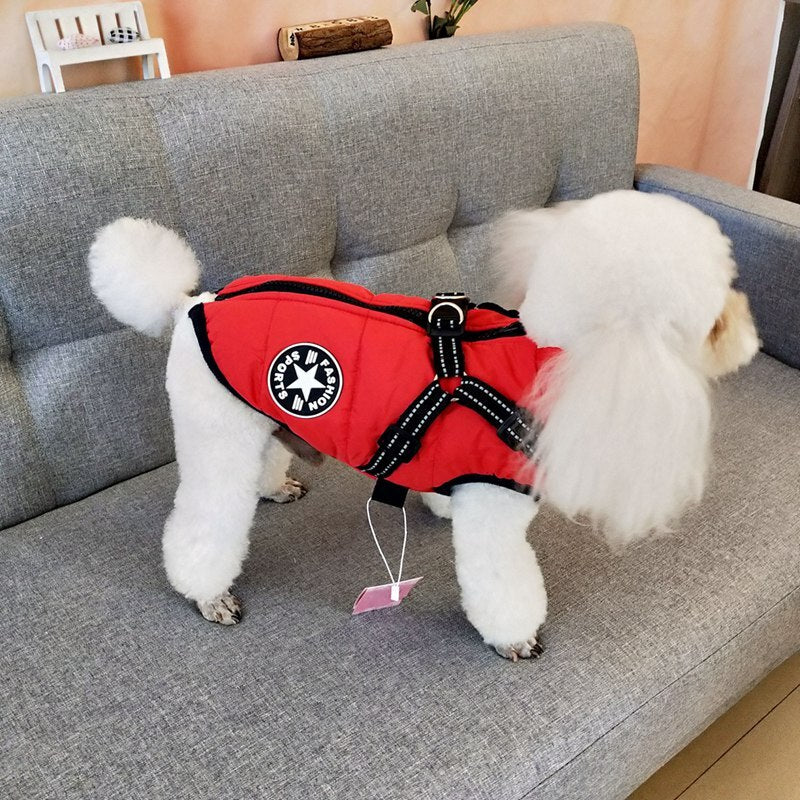 Padded Winter Dog Vest - alternate product view 5
