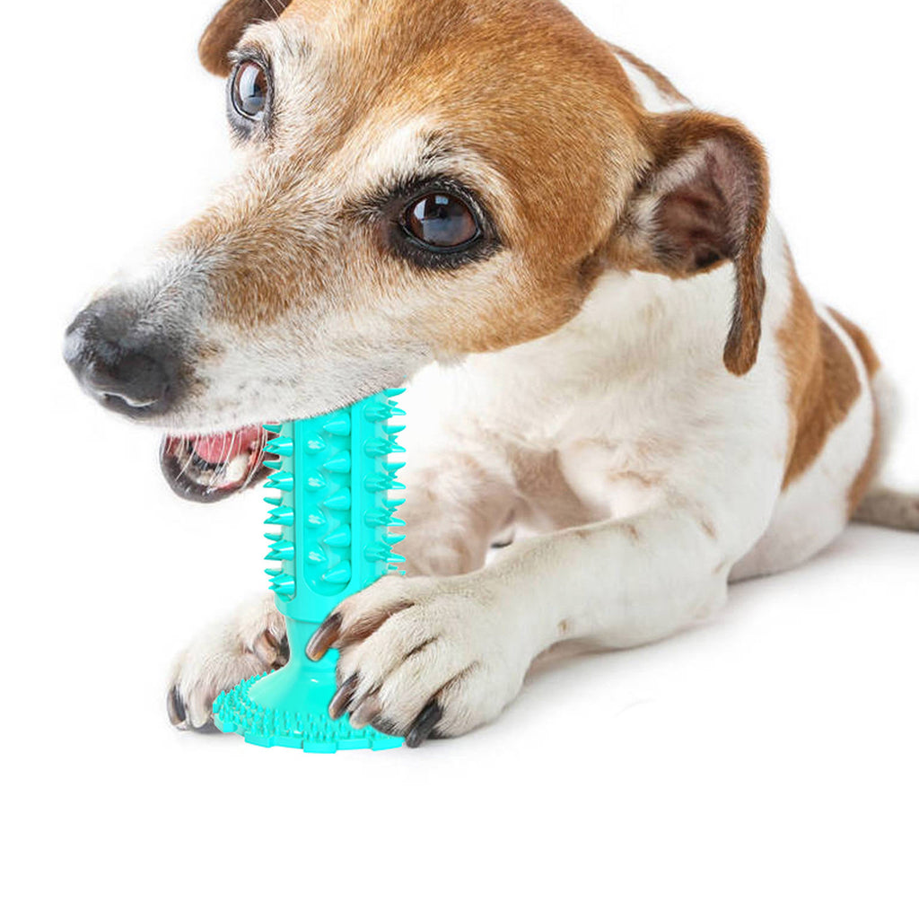 Suction cup interactive dog chew toy