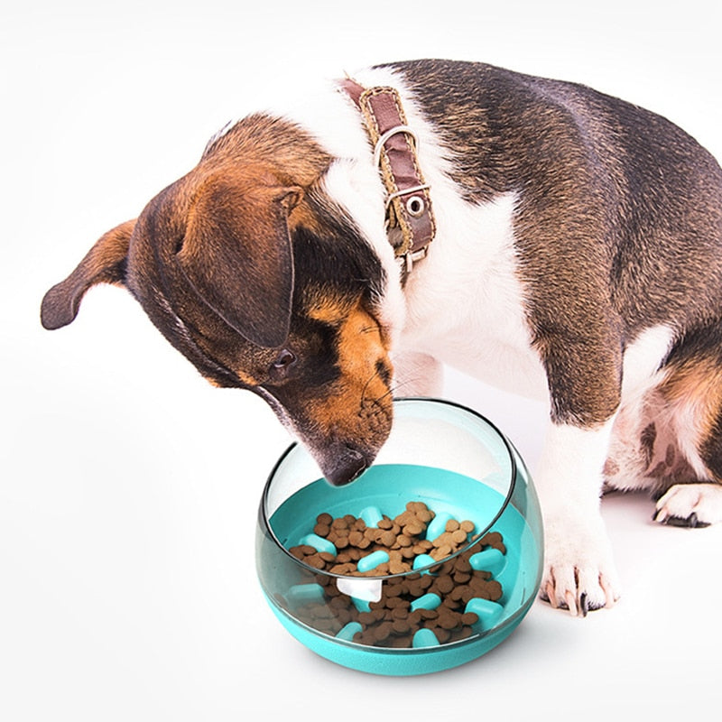 Slow Feeder Dog Bowl - alternate product view 4
