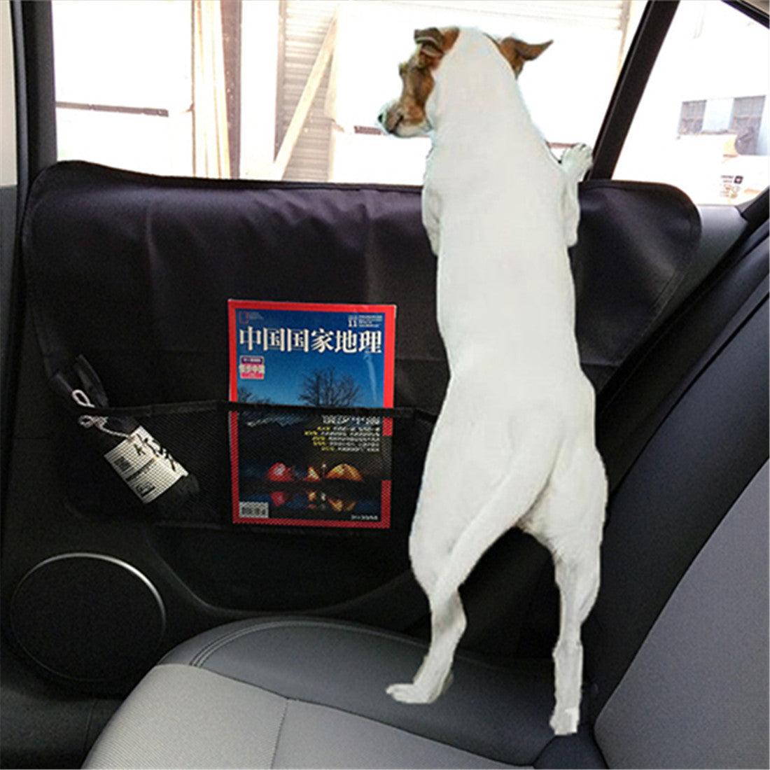 Car door protector for dogs during travel