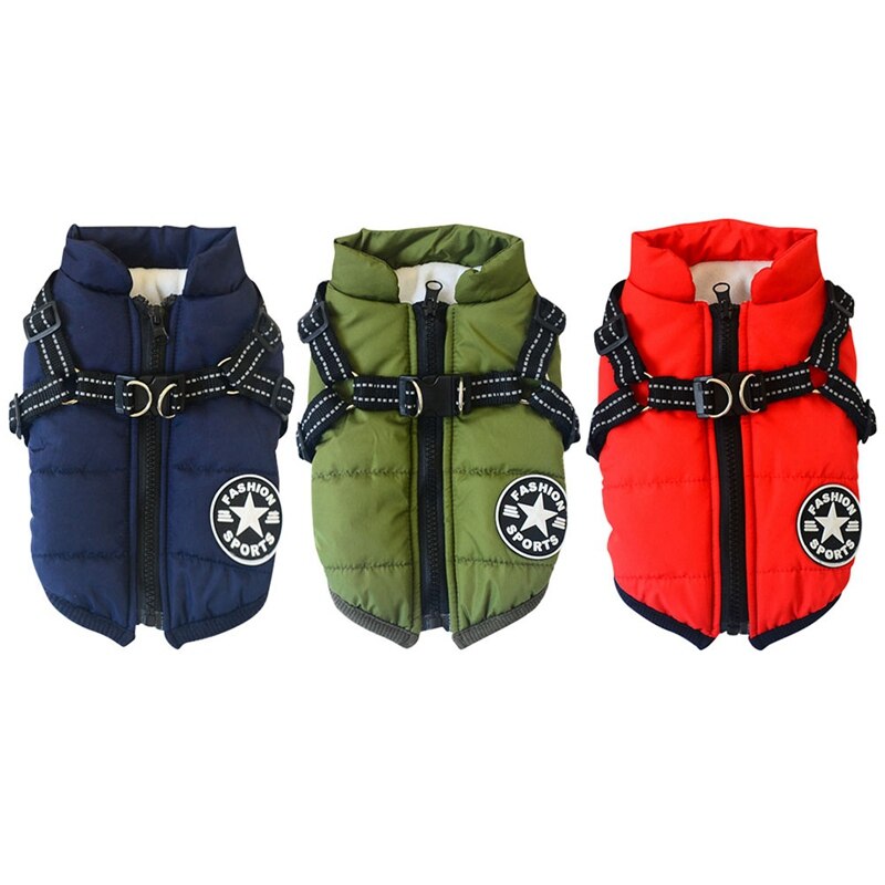 Padded winter dog vest for cooler weather