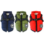 Padded winter dog vest for cooler weather